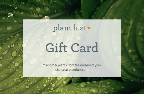 plantlust.com e-Gift Card